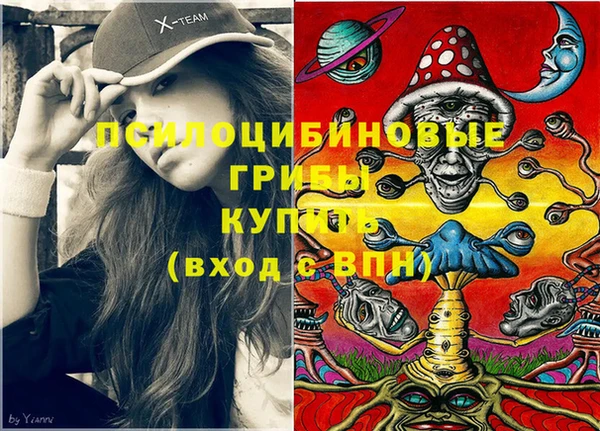 стаф Алзамай
