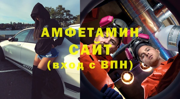стаф Алзамай