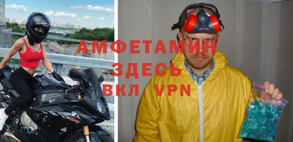 стаф Алзамай