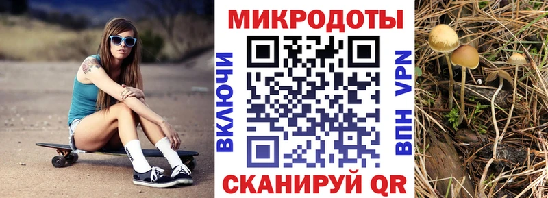 Псилоцибиновые грибы Psilocybe  блэк спрут ССЫЛКА  Вихоревка  где продают наркотики 